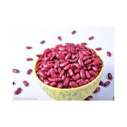 榆阳批发红芸豆价格 品质有保障的红芸豆哪