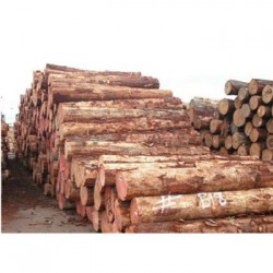 大风山收购松木企业一览表
