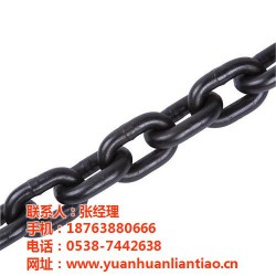 起重链条,起重链条供应商,泰安鑫洲机械公司